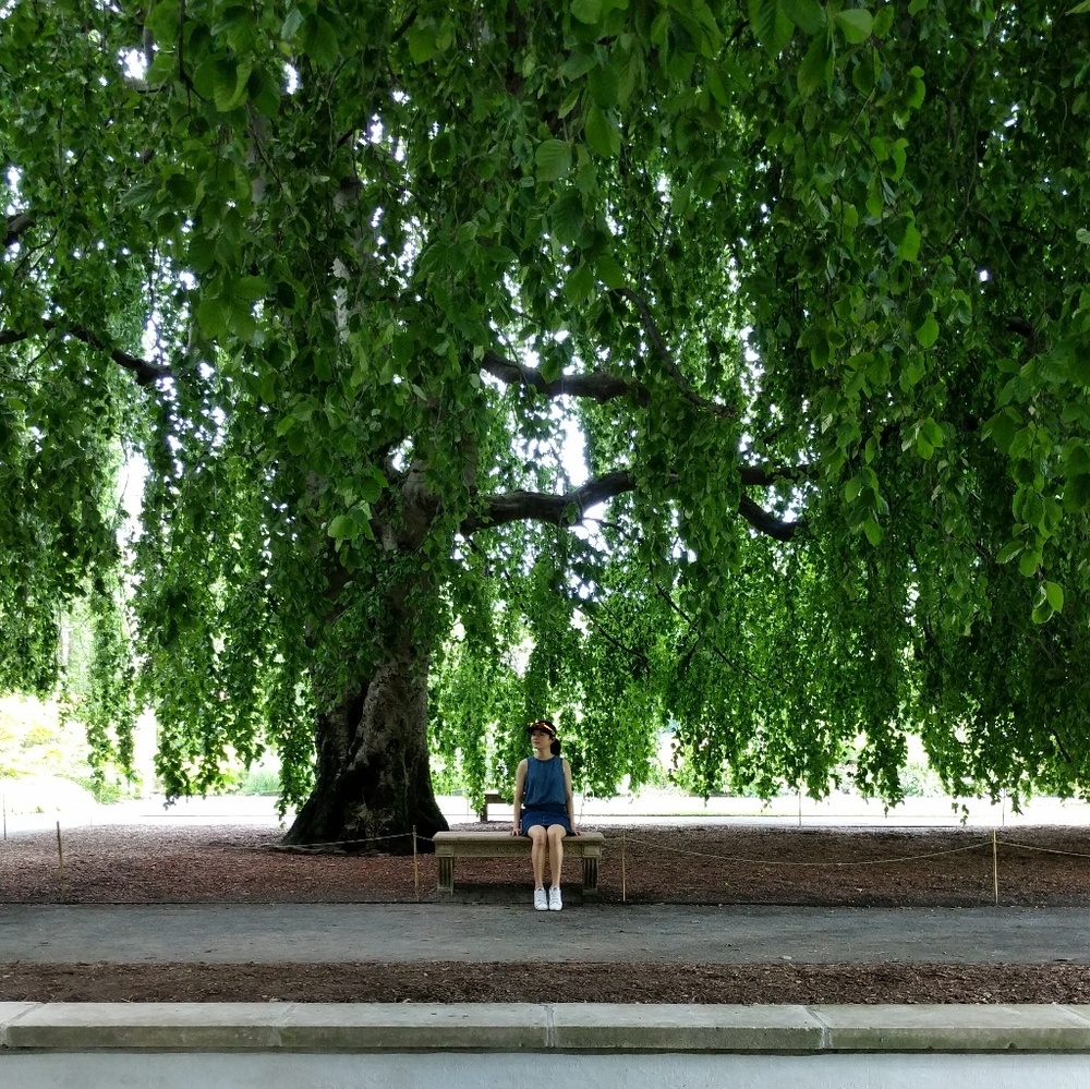 Meet your Posher, Yoyo